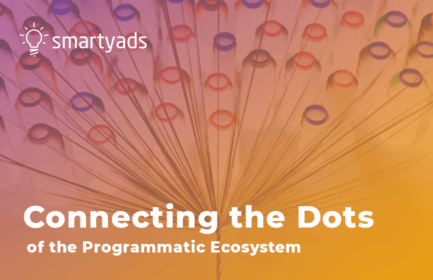 The Role and Functions of Programmatic Ecosystem